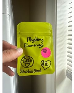 Mystery Earrings - Stainless Steel